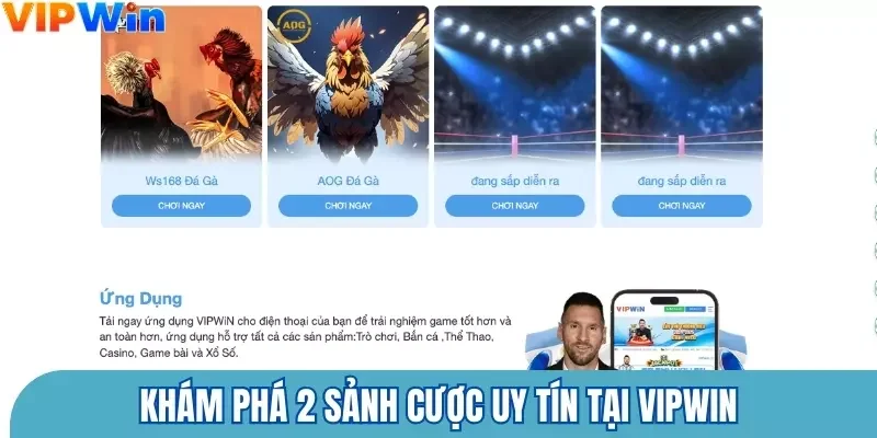 Khám phá 2 sảnh cược uy tín tại Vipwin