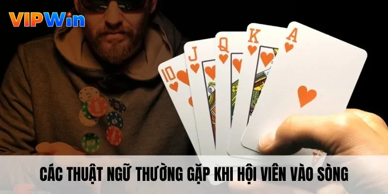 Các thuật ngữ thường gặp khi hội viên vào sòng