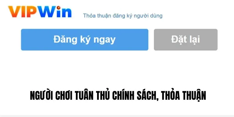 Người chơi cần đồng ý với điều khoản khi đăng ký thành viên tại Vipwin