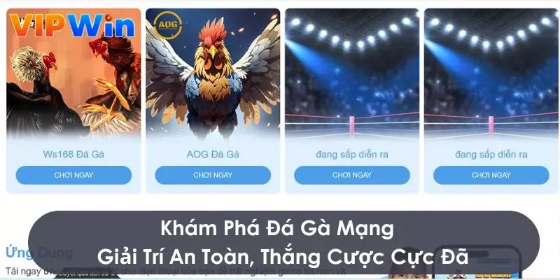 đá gà mạng
