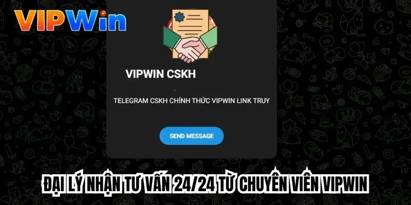 Đại lý nhận tư vấn 24/24 từ chuyên viên Vipwin