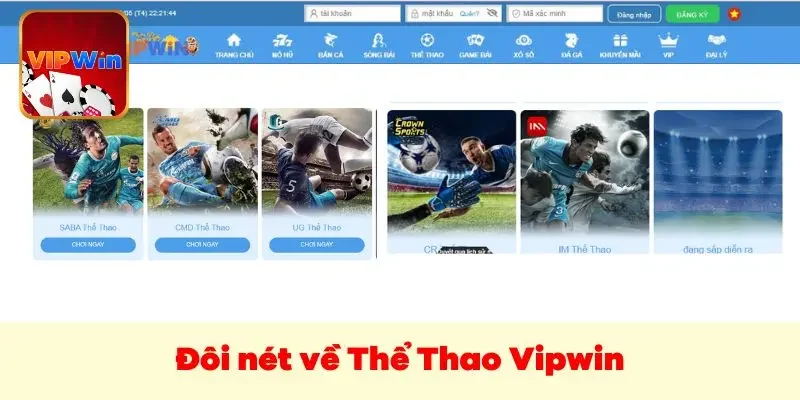 Đôi nét về Thể Thao Vipwin