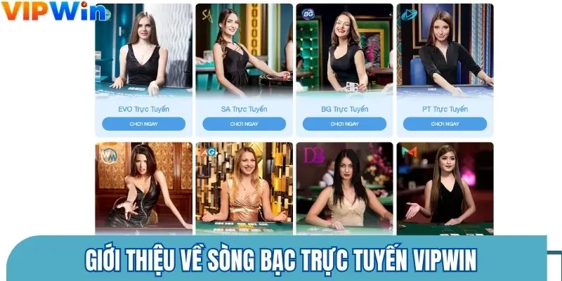 Giới thiệu về sòng bạc trực tuyến Vipwin