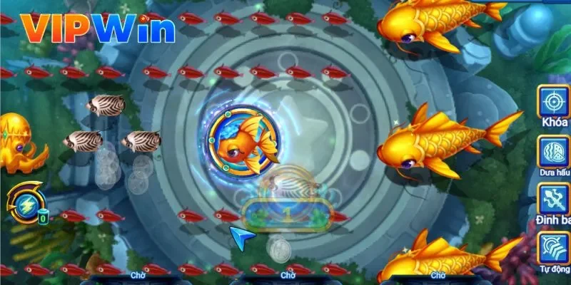 Khám phá đại dương rộng lớn tại Vipwin