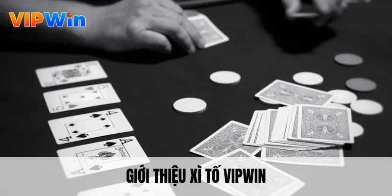 Giới thiệu xì tố Vipwin